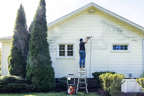 Best Fence Cleaning  in Heber, CA